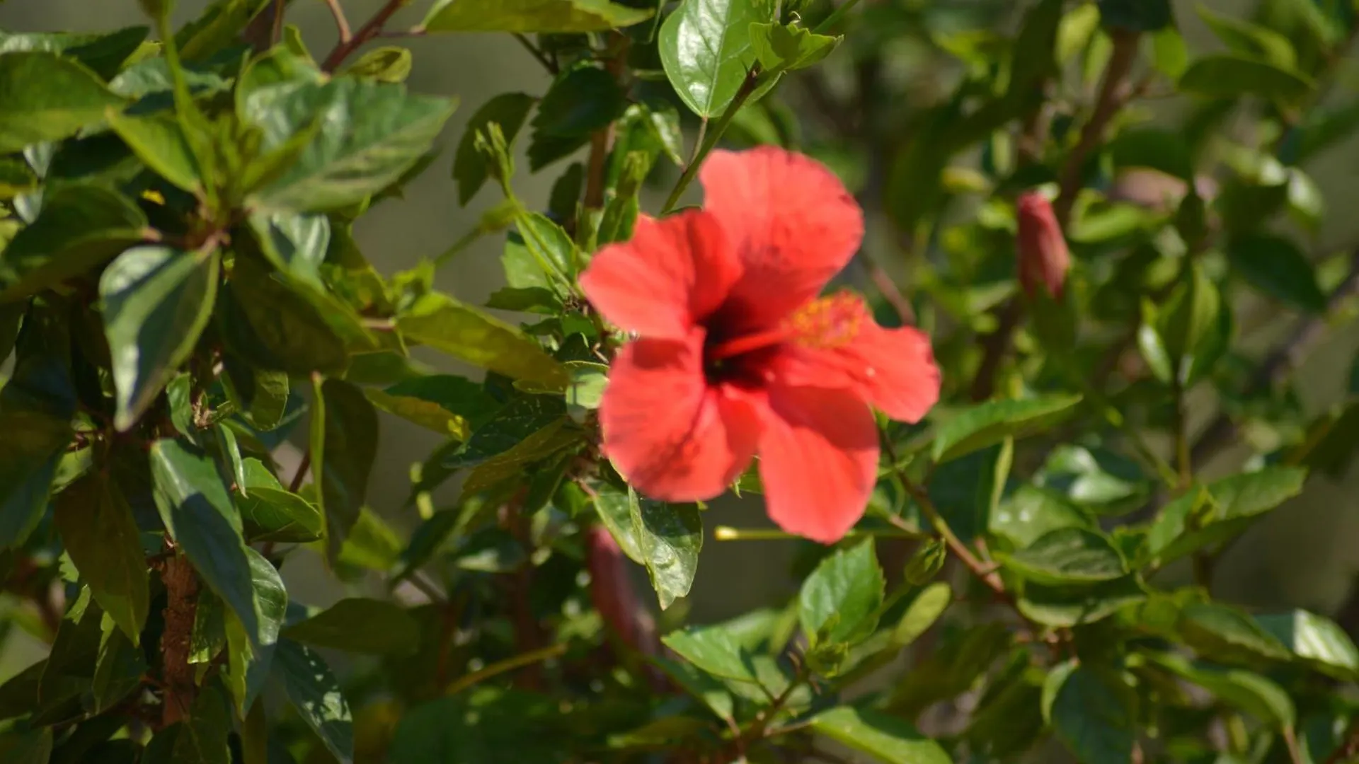 Holiday home Donna Pulina Holidays Pollina
